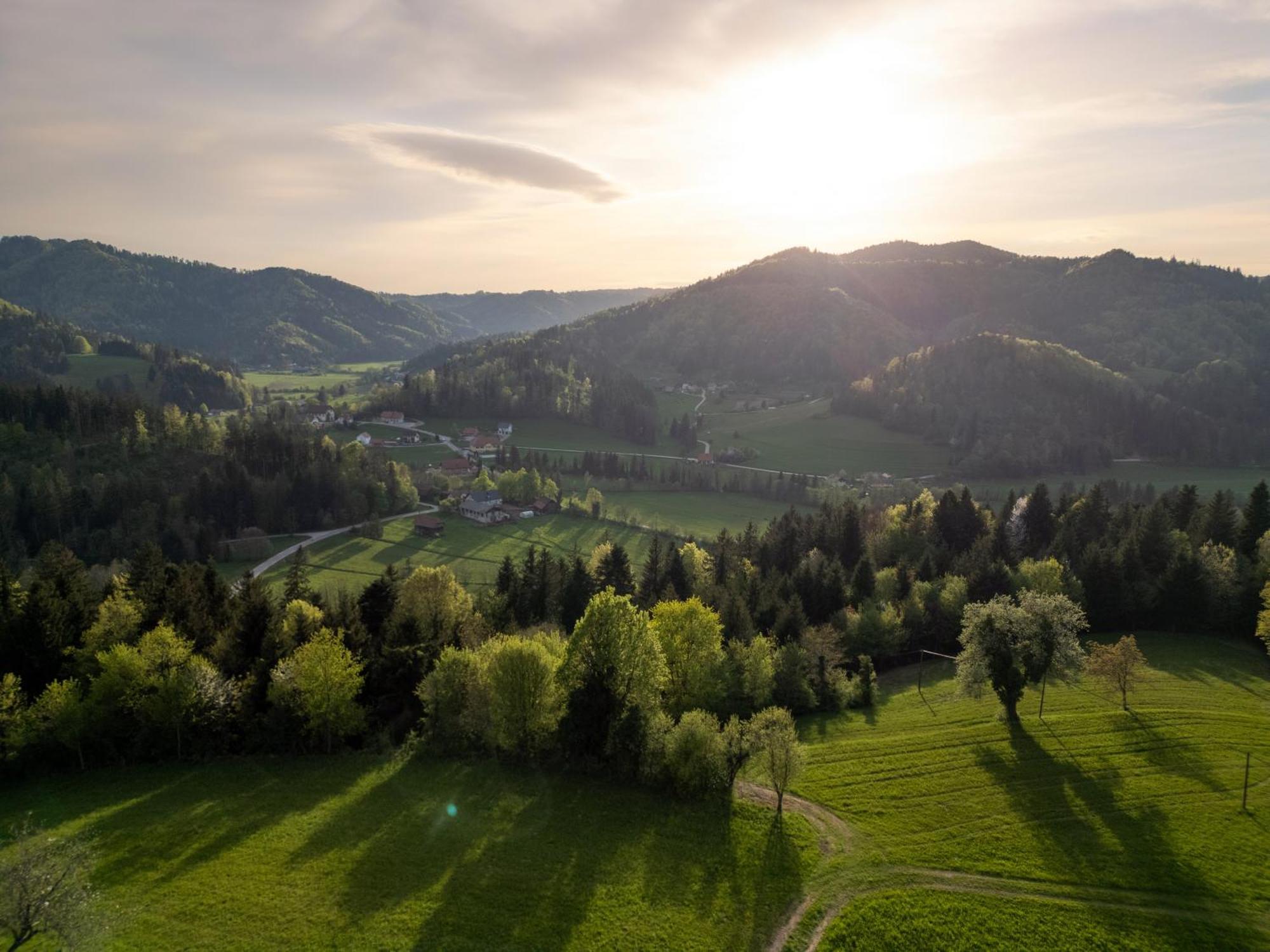 Holiday House Hona Lux Velike Lasce Zewnętrze zdjęcie